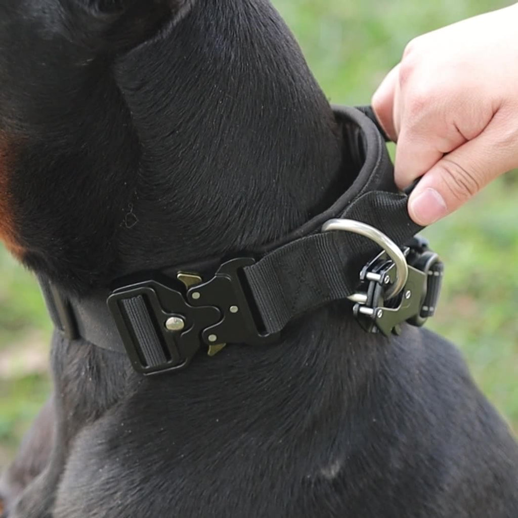 Collar Táctico de Nylon Ajustable para Perro