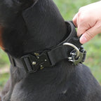 Collar Táctico de Nylon Ajustable para Perro