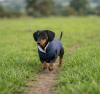 Chaleco Acolchado para Perro con Forro Interior